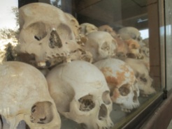 There are piles and piles of skulls (more than 5,000), representing only a fraction of the total number of bodies estimated to be buried there.