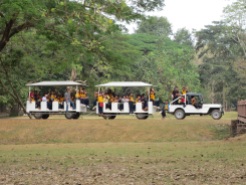 One of the field trip groups, rolling through on their tram. They waved at us the whole time.