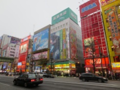 Akihabara. A huge number of electronics and game stores, and more manga than you would believe.